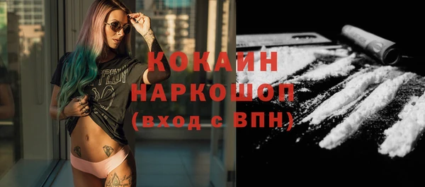 крисы Няндома